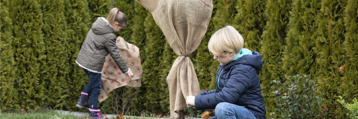 Pflanzen in Jute einpacken